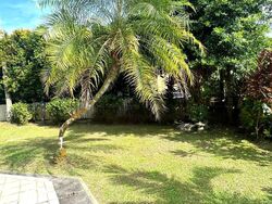 Turf Club Road (D11), Detached #471414071